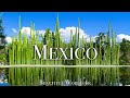 Mexico 4K Scenic Relaxation Film - Peaceful Piano Music - Stunning Beautiful Nature