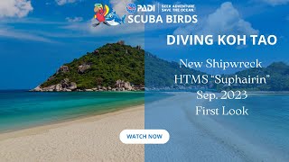 Diving Koh Tao | New ShipWreck HTMS \