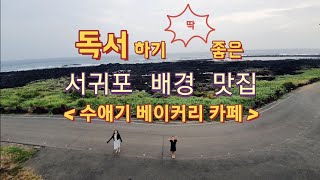 제주 여행 서귀포 배경 맛집(feat.독서하기 좋은 카페)