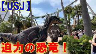 【USJ】ジュラシック・パーク・ダイナソー・ミート ＆ グリート 迫力の恐竜！