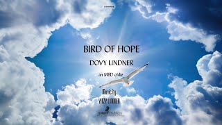 Bird of hope - MBD cover - Dovy \u0026 Yitzy Lindner