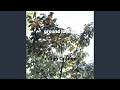ground lullaby