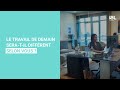 alentaris what is a recruitment company – with thierry goder – snack by ibl