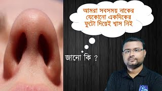 আমরা সবসময় নাকের যেকোনো একদিকের ফুটো দিয়েই কেন শ্বাস নিই ? Nasal Cycle in Bengali