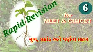 Rapid Revision :: NEET, GUJCET || Biology :: મૂળ, પ્રકાંડ અને પર્ણના પ્રકાર