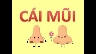 Cái Mũi - Thỏ Nhí TV