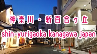 KANAGAWA WALK 神奈川・新百合ヶ丘の街並み Shin-Yurigaoka Kanagawa Kawasaki Japan 2019.12