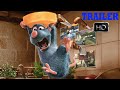 Ratatouille Full Game All Cutscenes Game Movie