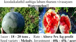 Watermelon (மெலடி)| தர்பூசணி சாகுபடி in tamil | பொறியியல் மாணவர் 2021 | Up2tech |.