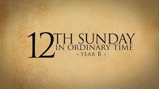 Homily for the 12th Sunday in ordinary time year B/ Homily for 23/ 06/2024