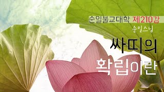 제210강 싸띠의 확립이란