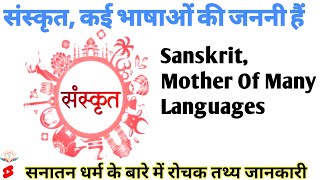 संस्कृत, कई भाषाओं की जननी || Sanskrit Mother Of Many Languages