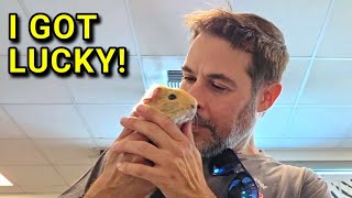 I Got LUCKY At The Animal Shelter!