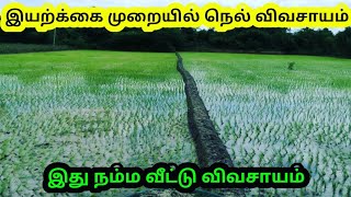 இப்படியும் விவசாயம் பண்ணலாமா | MYSTERYOFVILLAGE