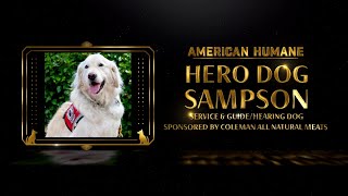 2024 Hero Dog Awards | Service and Guide/Hearing Dog Sampson