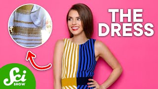 The Famous Dress That Broke the Internet: A Scientific Breakdown