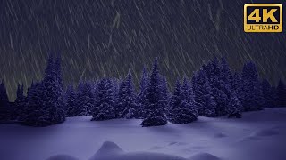 10 HOURS - NIGHT SNOWFALL WITH BLIZZARD AND HOWLING WIND SOUNDS FOR SLEEP, WORK, STUDY  4K UHD
