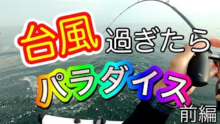 【水中動画あり】台風過ぎたらいつものポイントがパラダイスになった！