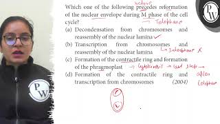 Which one of the following precedes reformation of the nuclear enve...