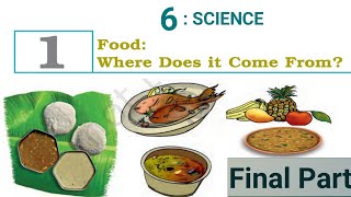 || FOOD : Where does it comes from || class 6 science (Final Part )