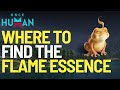 Where to find the Flame Essence Deviant in Once Human