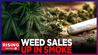 UP IN SMOKE? Colorado Weed Business DECLINING