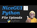 NiceGUI Python - Handling File Uploads (CSV,Txt,Images,etc)