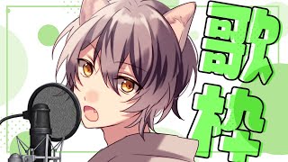 【歌枠テスト】果たして歌配信の設定はちゃんとできているのか…！？【Vtuber】