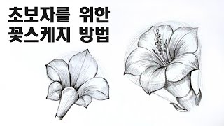 초보자를 위한 꽃 스케치 수업 / 꽃 잘 그리는 쉬운 방법, Draw flowers with a pencil