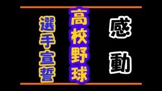 感動する話 全国高校野球の選手宣誓 2016 「8月6日の意味を深く胸に刻み・・」