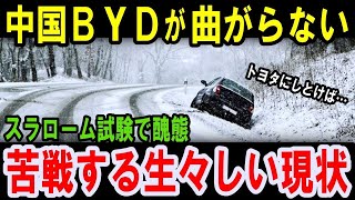 【海外の反応】BYDハンの衝撃的な試験結果で分かった驚きの真実！世界を狙うも山積する想定外の課題とは？