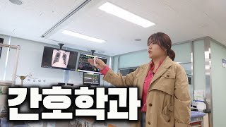 간호학과에 다시 간다면?? #브이로그 #간호학과