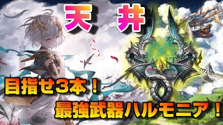 【グラブル】天井してでもハルモニア3本を目指すきくうし