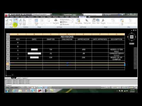 AutoCAD II 21-19 Adding and Resizing Columns and Rows AutoCAD II 21-19 Adding and Resizing Columns and Rows