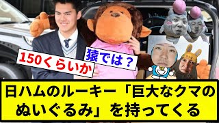 【サルじゃね？】日ハムのルーキー「巨大なクマのぬいぐるみ」を持ってくる【プロ野球反応集】【2chスレ】【なんG】