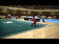 2011 USAWKF Wushu Team Trials Men's Daoshu 5.MP4