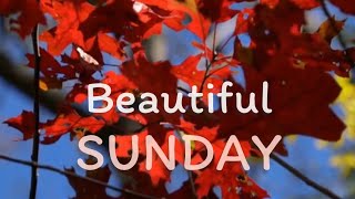 HAPPY SUNDAY : สุขสันต์วันอาทิตย์ : Beautiful Sunday