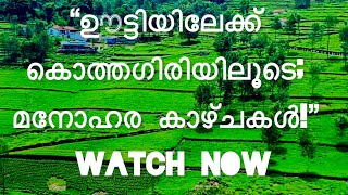 . “കൂനൂരിന് പകരം കൊത്തഗിരിയിലൂടെ; മനോഹര കാഴ്ചകൾ! 🌄”  I Road trip to mudumalai tiger reserve