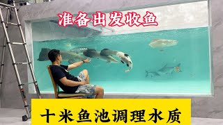 十米鱼缸猛鱼全部搬家，准备出发收鱼