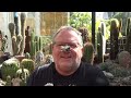 fertilizing u0026 feeding my cacti and succulents why what how and when cacti cactus fertilizer