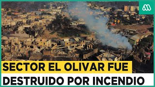 Catástrofe en Viña del Mar: Población El Olivar es consumida por el fuego