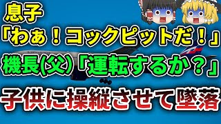 【ゆっくり解説】あまりにもヒドイ！子供の操縦で自動操縦が解除され制御不能で墜落したアエロフロート航空593便墜落事故