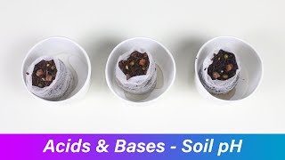 Acids \u0026 Bases - Soil pH | ThinkTac | DIY Science