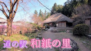 秩父高原牧場と道の駅『和紙の里』~ドライブの立ち寄り場所に最適です~ ミツマタ、トサミズキ、サクラ : 埼玉県秩父郡東秩父村 : 4K