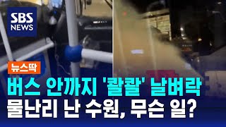 버스 안까지 '콸콸' 날벼락…물난리 난 수원, 무슨 일? / SBS / 뉴스딱