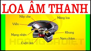 TÌM HIỂU CẤU TẠO MỘT CỦ LOA