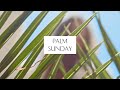 Journey Through Holy Week: Palm Sunday | GKCE