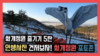 [오늘의강화군] 화개정원 즐기기 5탄! 포토존