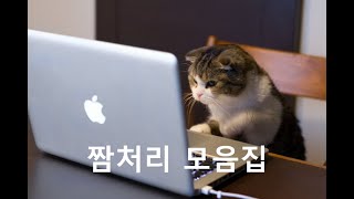 짬통 1