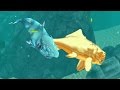 Hungry Shark Evolution Ice Shark Android Gameplay #8